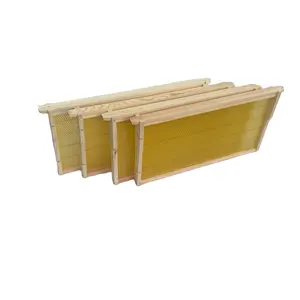 Deep Wooden Beehive Frames yellow Waxed Plastic Foundation with Complete Unassembled Commercial Frames