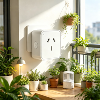 Prise intelligente Zigbee Australie Nouvelle-Zélande 3.0 avec moniteur d'énergie, double relais, double pôle, interrupteur à distance, minuterie, fabricant OEM Tuya