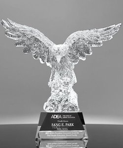 HITOP bán buôn bay <span class=keywords><strong>EAGLE</strong></span> mô hình K9 chất lượng cao pha lê <span class=keywords><strong>EAGLE</strong></span> Trophy cho doanh nghiệp hoặc năm mới Quà Tặng - Product Image 4