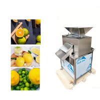 Machine à jus automatique à prix d'usine, presse-agrumes à double rouleau pour citrons, citrons verts et pomelo, sans élimination des pépins