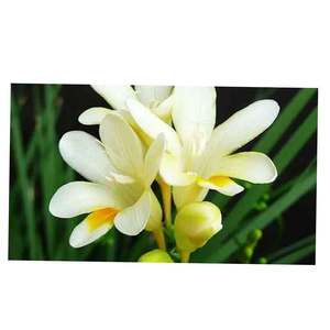 Fragancia <span class=keywords><strong>de</strong></span> origen francés, materia prima, carrera, belleza, niebla, Perfumes para mujer, 100Ml, último éxito, Perfume para mujer, Spray <span class=keywords><strong>de</strong></span> perfume <span class=keywords><strong>de</strong></span> lujo - Product Image 5