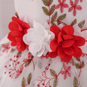 Robes de princesse pour bébé fille d'été, vêtements pour enfants, fête d'anniversaire, mariage, robes brodées boutique, fleurs rouges - Product Image 2