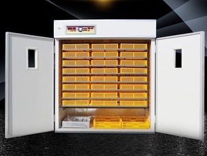 Nouvel incubateur automatique <span class=keywords><strong>Gongle</strong></span> GL-1056 pour œufs de volaille, capacité de 88 à 5280 œufs, alimentation solaire/électrique, pour œufs de poulet - Product Image 4