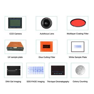 BIOBASE CN Système d'imagerie automatique sur gel Ayalyse Documentation PCR Système d'imagerie sur gel BK-ACG600 laboratoire - Product Image 4