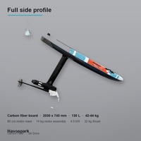 Nouveau Havospark Jet Drive Efoil 4.5kW 32kg de poussée 130L IP68 en fibre de carbone pour le surf hydrofoil et la vente en gros OEM