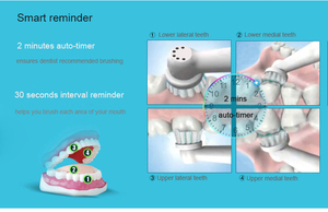 Meilleure vente T2205 brosse à dents électrique intelligente machine de blanchiment des dents de haute qualité avec poils moyens étanche IPX7 vente en gros - Product Image 6