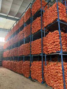 Oignons jaunes frais de qualité A, conditionnés en sacs en filet et en cartons, pour stockage frigorifique, en vrac, <span class=keywords><strong>prix</strong></span> direct usine Chine - Product Image 6