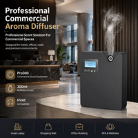 Diffuseur d'huiles essentielles électrique portable en métal avec bouteille rechargeable de 300 ml, garantie 1 an, pour hall d'hôtel, contrôle par application WIFI