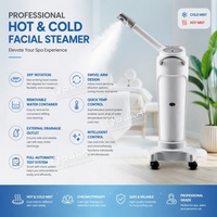 Vaporisateur Facial Thermique Professionnel 2-en-1 pour Salon de Beauté, Hydratant Nano-Brume, Arrêt Automatique, Vente en Gros