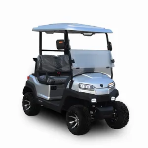 Carrito de Golf eléctrico ZYCAR de 2 asientos, carrito con batería, aprobado por la CE, fabricado en China