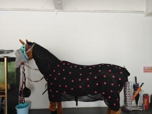 หน้ากากแม่เหล็กกันแมลงสำหรับม้า - Product Image 2