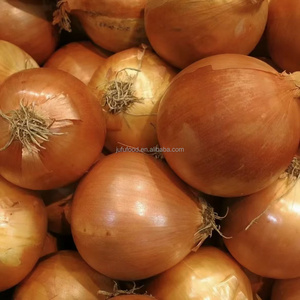 Ai Cập tươi màu đỏ và màu vàng hành tây xuất khẩu sang Hungary - Product Image 6