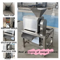 Elektrische industriële mangopulper / fruitpulp-sapmachine / mangopuree-extractor voor fruitverwerkingsmachines