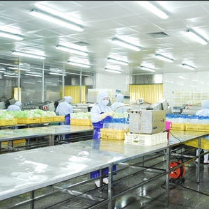 Meisei alimenti In scatola esili <span class=keywords><strong>germogli</strong></span> di bambù dalla Cina a prezzo all'ingrosso - Product Image 4