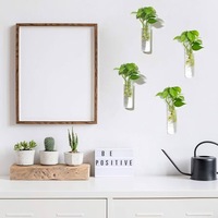 Vase mural en verre léger et moderne pour la décoration de la maison, pour plantes hydroponiques, vases à fleurs suspendus, lot de 4