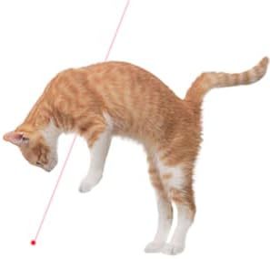 Juguete para Gatos con Luz Púrpura Recargable por USB, Láser con Múltiples Patrones y Divertido Bolígrafo para Gatos, Suministros Interactivos y de Movimiento para Mascotas - Product Image 3