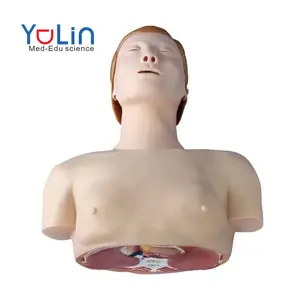 Model Pengajaran Medis PVC Model Anatomi Medis Biologi Model Pelatihan CPR Dasar (Setengah Badan) Kualitas Tinggi
