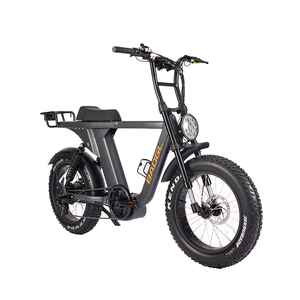 Vélo Électrique Tout-Terrain 48V 1000W à Pneus Larges - Moteur Sans Balais, Cadre en Aluminium, Écran LCD, Utilisation Urbaine et Montagneuse ATV08-3 Electr - Product Image 4