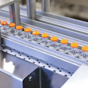 Easy To Install Pharmaceutical Industry Flexible Chain Conveyor