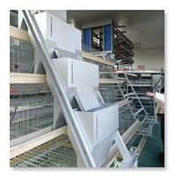 Nouvelle cage à oiseaux à 5000 couches, structure simple, acier galvanisé à chaud, longue durée de vie, élevage de volailles, poulailler