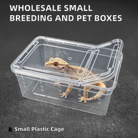 Boîtes d'élevage et d'alimentation en plastique de petite taille pour animaux de compagnie, boîtes de protection pour araignées, grenouilles cornées, coléoptères, vers à soie, plateau en plastique pour bébés animaux