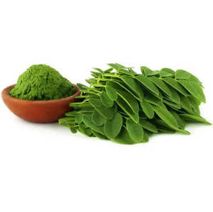 Poudre de Moringa Naturelle Premium de Qualité Alimentaire, Feuilles d'Herbes Finement Broyées pour Usage Général, Qualité Pure et Emballage en Vrac - Product Image 3