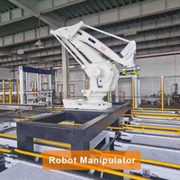 Paletizador Robótico ABB Leadworld, Paletizador Automático para Latas, Servomotor, Máquina Paletizadora Automática, Línea de Producción Robótica