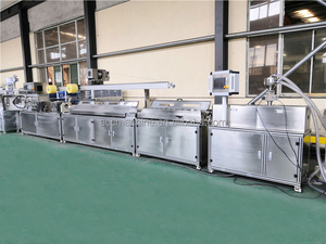 FLD35 PEEK 3Dプリンターフィラメント押出ライン - Product Image 2