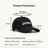 Fabricant de casquettes de baseball personnalisées, casquette à 6 panneaux avec visière incurvée, 100% coton, OEM ODM, usine, fournisseur de casquettes à marque privée