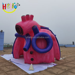 Mô Hình Trái Tim 3D Bơm Hơi Y Tế Bionic Bơm Hơi Tùy Chỉnh Hình Trái Tim Y Tế - Product Image 5