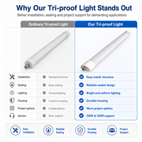 Reglette LED étanche Tri-proof Light UKCA, design exclusif, 36W 46W 4FT, luminaire linéaire à montage en surface, AC220-240V, montage rapide, IP65
