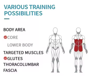 Machines chargées de plaques de gymnastique commerciales <span class=keywords><strong>Hyperextension</strong></span> inverse/Fessiers Équipement de fitness Acheter en ligne - Product Image 2