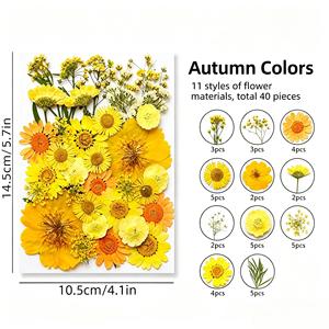 ชุดดอกไม้แห้งอัดเม็ดขนาดใหญ่ สีผสม สำหรับตกแต่งเคสมือถือ ที่คั่นหนังสือ ทำเอง ได้โดยตรงจากโรงงาน - Product Image 4