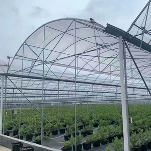 Grande <span class=keywords><strong>serre</strong></span> agricole tropicale multi-chapelles avec structure en acier galvanisé à chaud et bâche en film mince, portée <span class=keywords><strong>de</strong></span> 8 m, facilement assemblable pour - Product Image 6