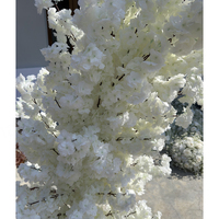 Arbre de cerisier blanc personnalisable de 2,2 mètres de haut, arches, décoration de scène de fête, décoration de mariage, arche de fleurs