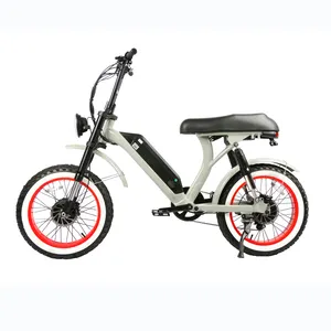 HP-E 73 harley style 13Ah 48v 500w 750w super powered motor generator 40km/h fat tire two 2 seat seater electric bicycle