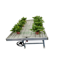 Tables de culture populaires, tables de culture roulantes, bancs roulants, plateau à semis pour plantes