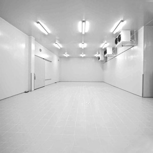 -35 độ chất lượng cao 20ft phòng lạnh container tùy chỉnh giải pháp di động phòng lạnh đi bộ trong tủ đông cho nhiệt độ thấp - Product Image 1