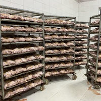 Certificat CE, projet de ferme avicole clé en main de premier ordre en Chine, équipement de chambre de refroidissement à air pour l'abattage des poulets, de haute qualité