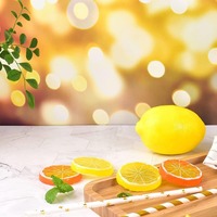 Kunstmatige citroenschijfjes van plastic, 5 cm, dubbelzijdig, decoratieve citroenblokjes, party tumbler topper, DIY nep fruit