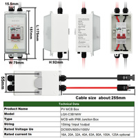 Interruptor de Desconexión Solar CNLONQ, IP66 Impermeable, DC500V 20/32/40/63/125A, Caja de Interruptor Automático Mini 1 Entrada 1 Salida con Cable PV