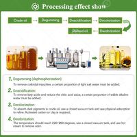 Machine de raffinage automatique d'huile de coco, de palmiste et d'olive, haute efficacité, en acier inoxydable, capacité de 1000 kg/h