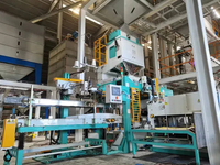 Ligne d'emballage alimentaire entièrement automatique à double station haute vitesse Ewinall QZB-1600 pour sacs tissés/sachets souples de 5 à 25 kg avec moteur