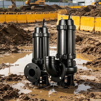 WQ SS304 Tauchmotor-Abwasserpumpe 5 PS 50m/164ft Förderhöhe DN50 Flansch OEM Abwasser-Entwässerungspumpe 3-Phasen Energieeffizient Hochleistung
