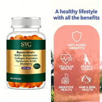 Gummies OEM NAD+ Resvératrol Complex pour la réparation cellulaire et l'impulsion énergétique, extrait de berbérine 10:1, vente en gros en vrac, approvisionnement direct usine
