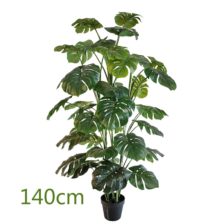 รูปภาพเหมือน