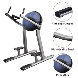 Fitness Club Leg Raise Machine Vertical Abdominal Trainer Core Workout Equipment Wholesale Custom Service <b>Strength</b> <b>Training</b> Gear - Product Image 5
