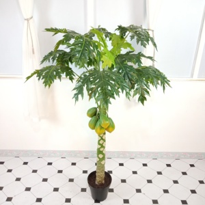 Plastique d'intérieur artificiel <span class=keywords><strong>de</strong></span> haute qualité plantes bonsaï artificielles <span class=keywords><strong>arbre</strong></span> <span class=keywords><strong>de</strong></span> <span class=keywords><strong>papaye</strong></span> 160cm - Product Image 4