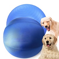 Ballon de yoga robuste de 45 cm pour chiens agressifs, jouet interactif gonflable et imperméable pour chiens, idéal pour l'extérieur