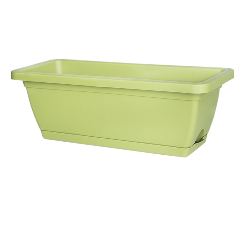 light green-thickened